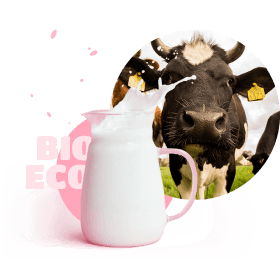 picture of jug of milk and a cow behind it